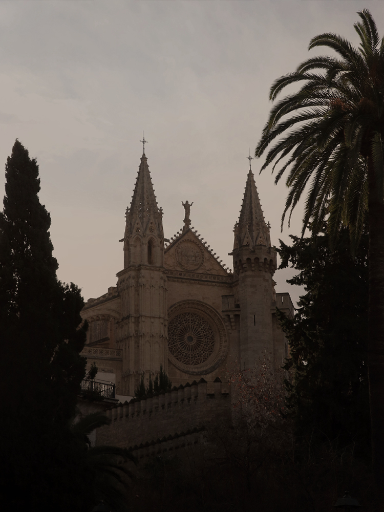 NEW OPENING PALMA DE MALLORCA