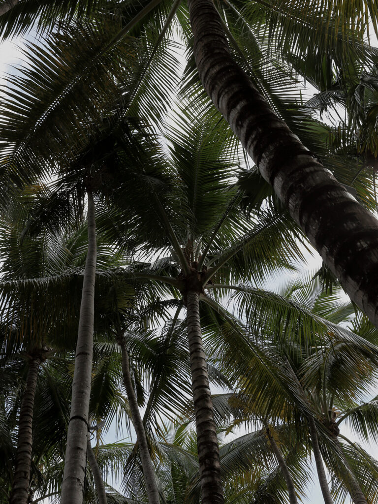 Residenza Privata al Ritz-Carlton - Miami